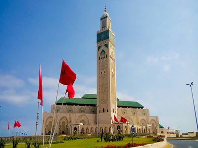 White buildings and palms in Casablanca
