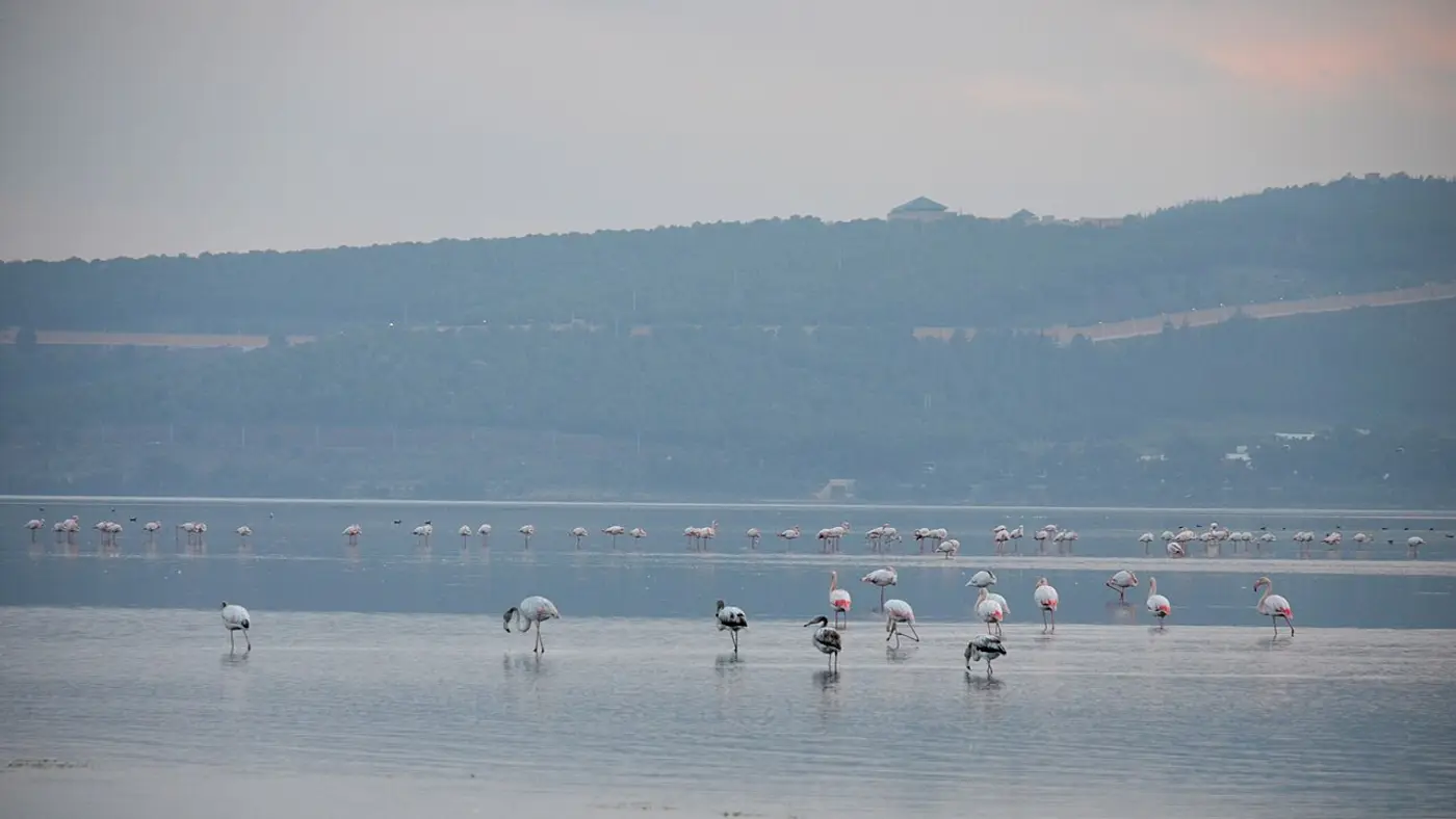 Marchica lagoon boat trip in Nador – Marchica Lagoon near Nador