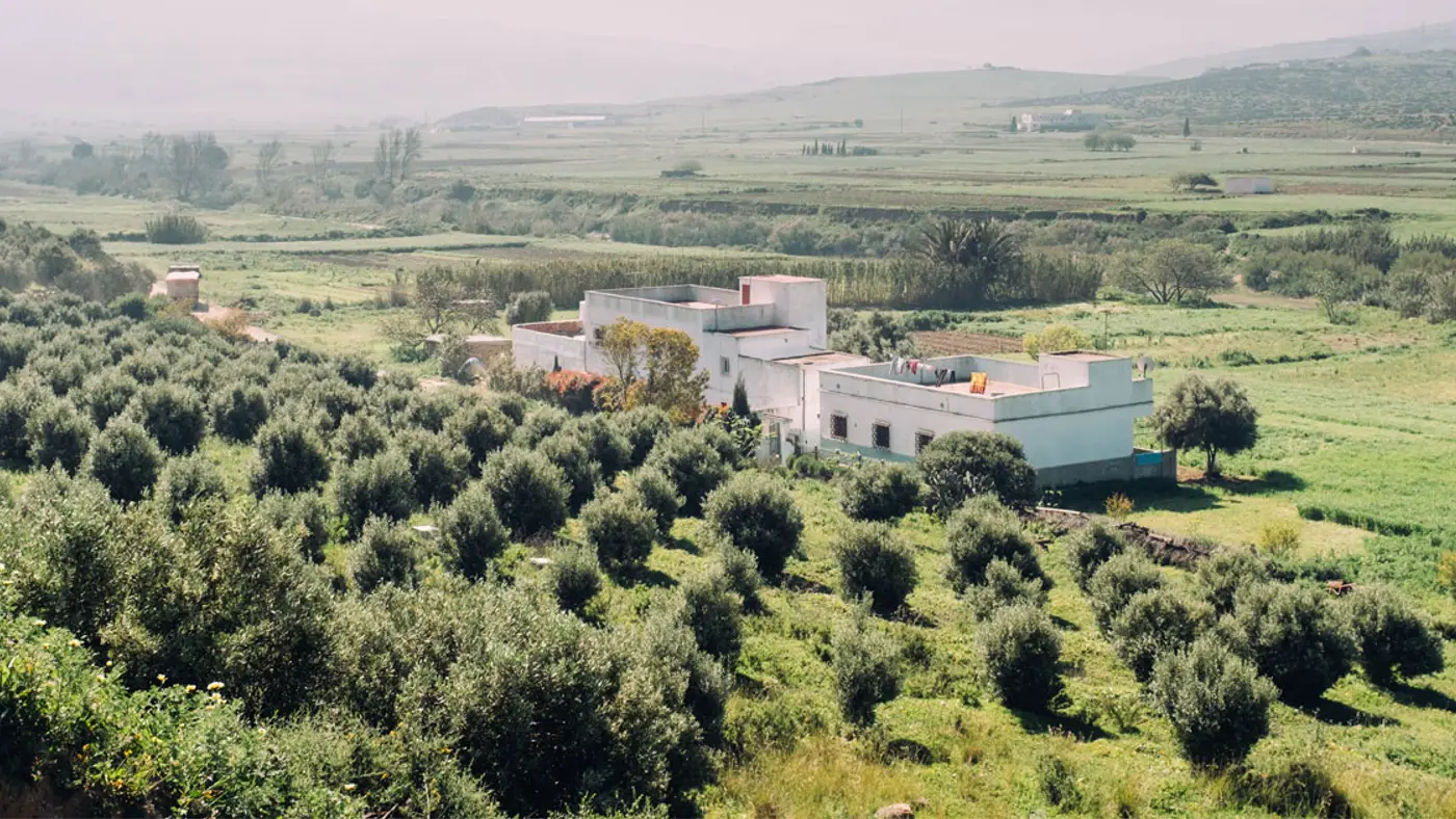 UNESCO medina craft walk in Tetouan – Tetouan and Rif landscapes