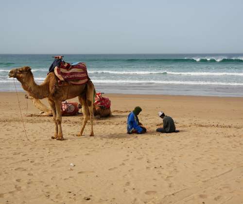 Agadir 15