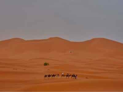 7-Day Highlights Tour from Tangier